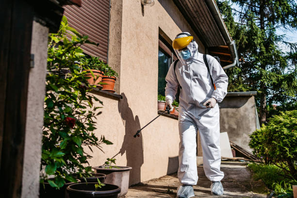 Pest Prevention Services in Cibolo, TX